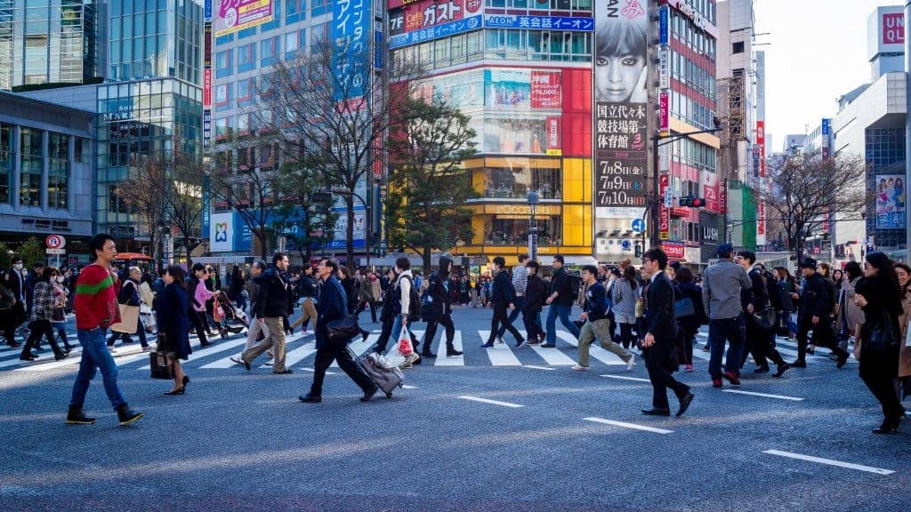 Do The Japanese Drink  Matcha?